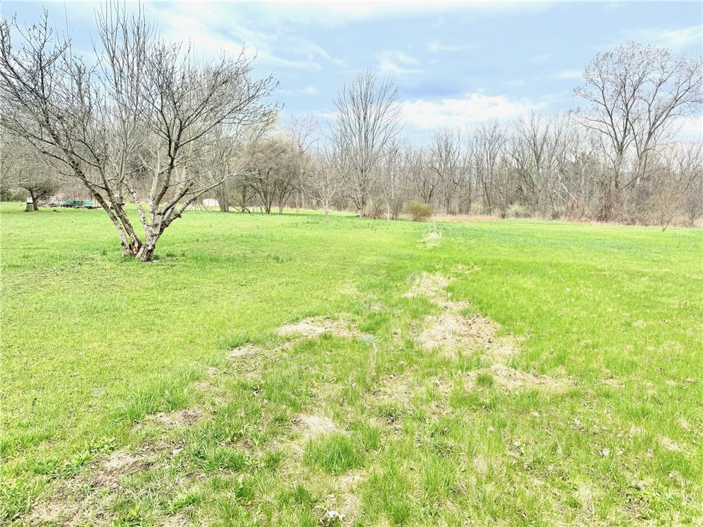 10817 S Sandy Hill Road, Dansville, New York image 3