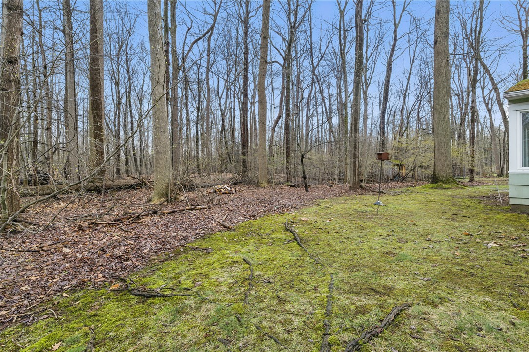 616 Shady Glen Circle, Webster, New York image 39