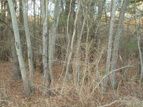 Vacant Land For Sale - Winney Hill Road<br/> Oneonta, NY 13820