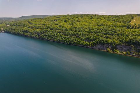 Vacant Land For Sale - State Route 414<br/> Schuyler County, Hector, NY 14841