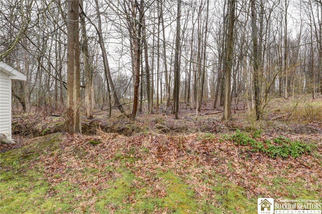 47 Summit Avenue, Jamestown, New York image 45