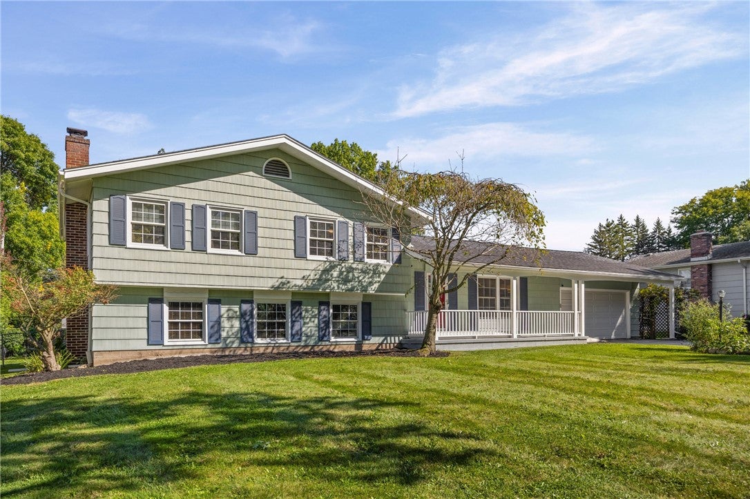12 Buchanan Road