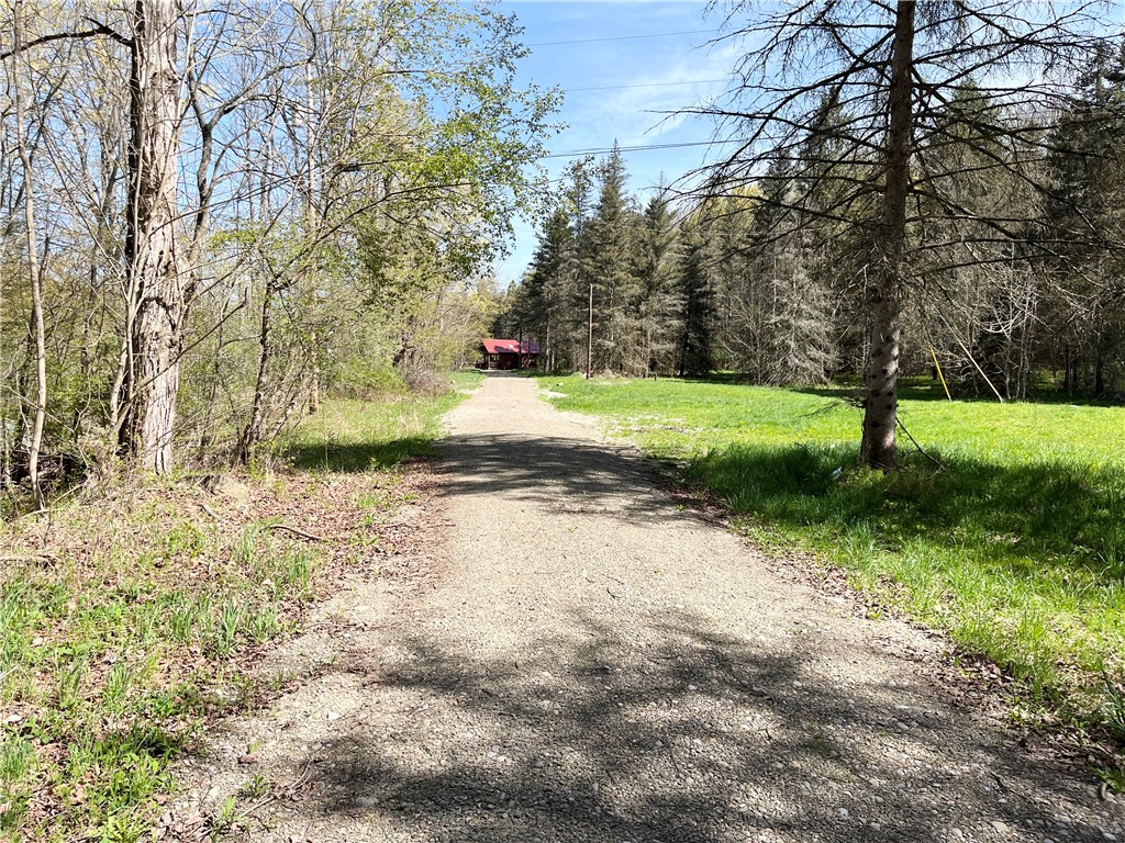 2783 Cr-126, Greenwood, New York image 43