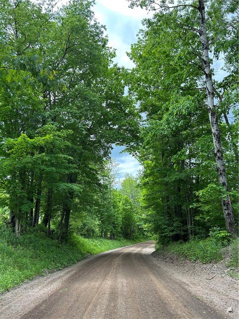Vacant Land For Sale - LOT 13 Grange Hall Road<br/> Delaware County, Franklin, NY 13820