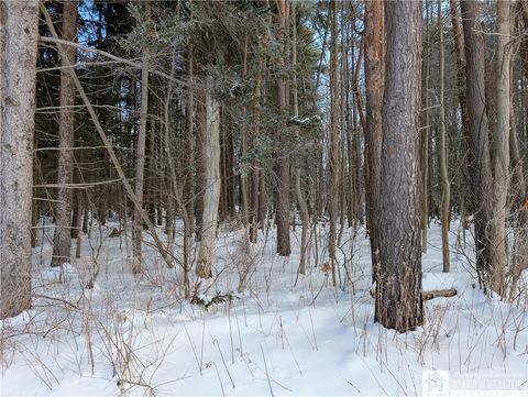 Tiny photo for 0 Route 426, French Creek, NY 14724 (MLS # R1660822)