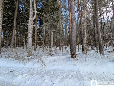 Tiny photo for 0 Route 426, French Creek, NY 14724 (MLS # R1660822)