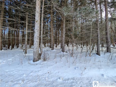 Tiny photo for 0 Route 426, French Creek, NY 14724 (MLS # R1660822)