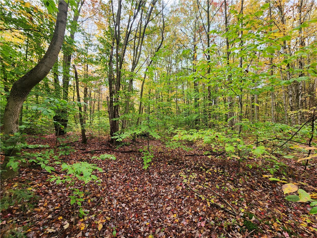 Lot #15.6 Beaver Meadow Road, Smyrna, New York image 5