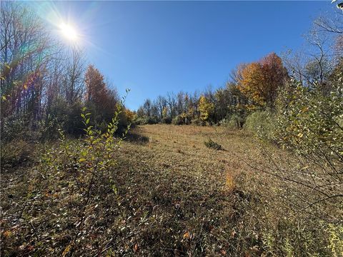 Willowdale Drive Macedon NY 14502