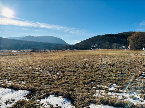 Vacant Land For Sale - 171 Cronk Lane<br/> Delaware County, Roxbury, NY 12434