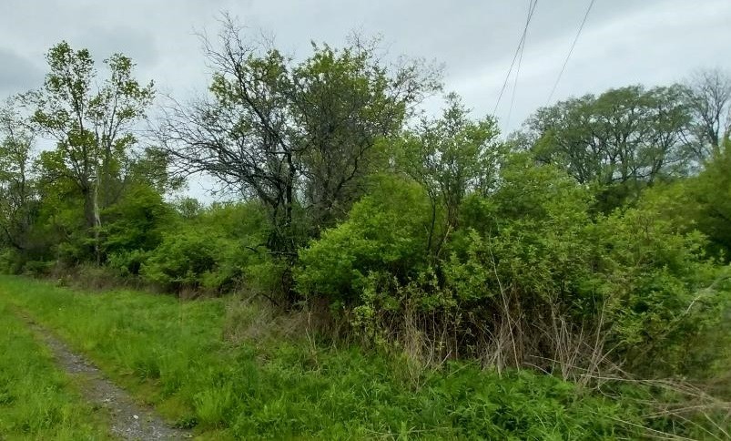 Walpole Rd, Groton, New York image 4