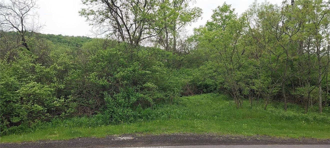 Walpole Rd, Groton, New York image 2