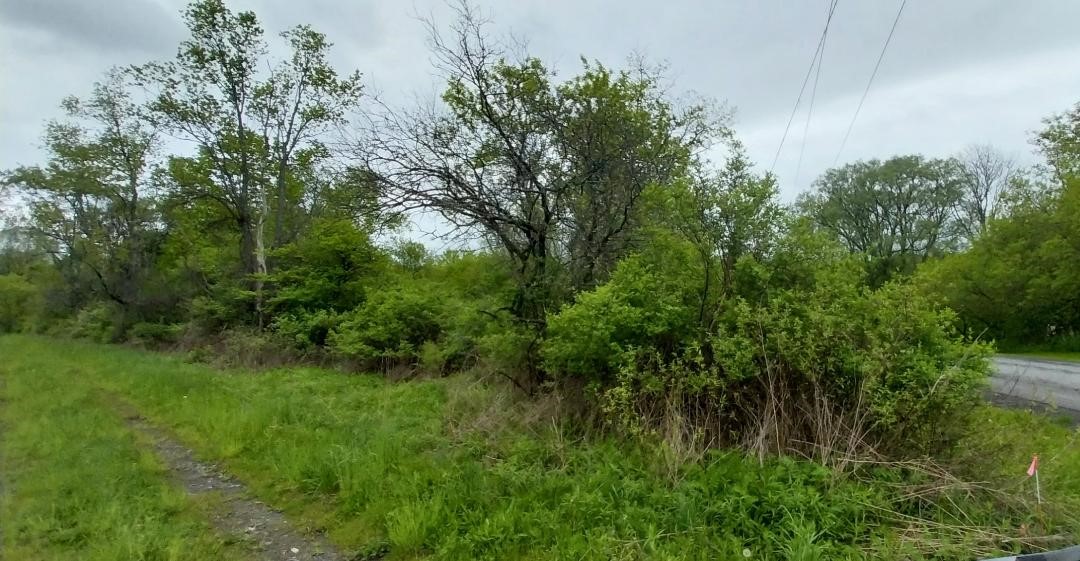Walpole Rd, Groton, New York image 5