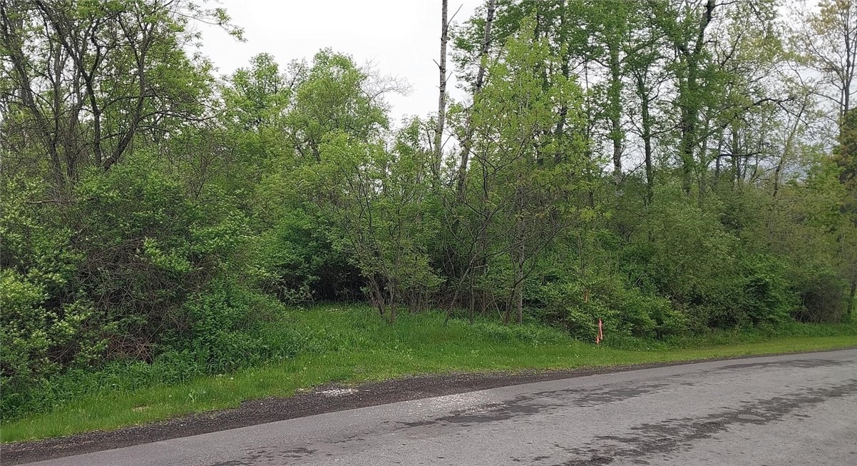 Walpole Rd, Groton, New York image 3