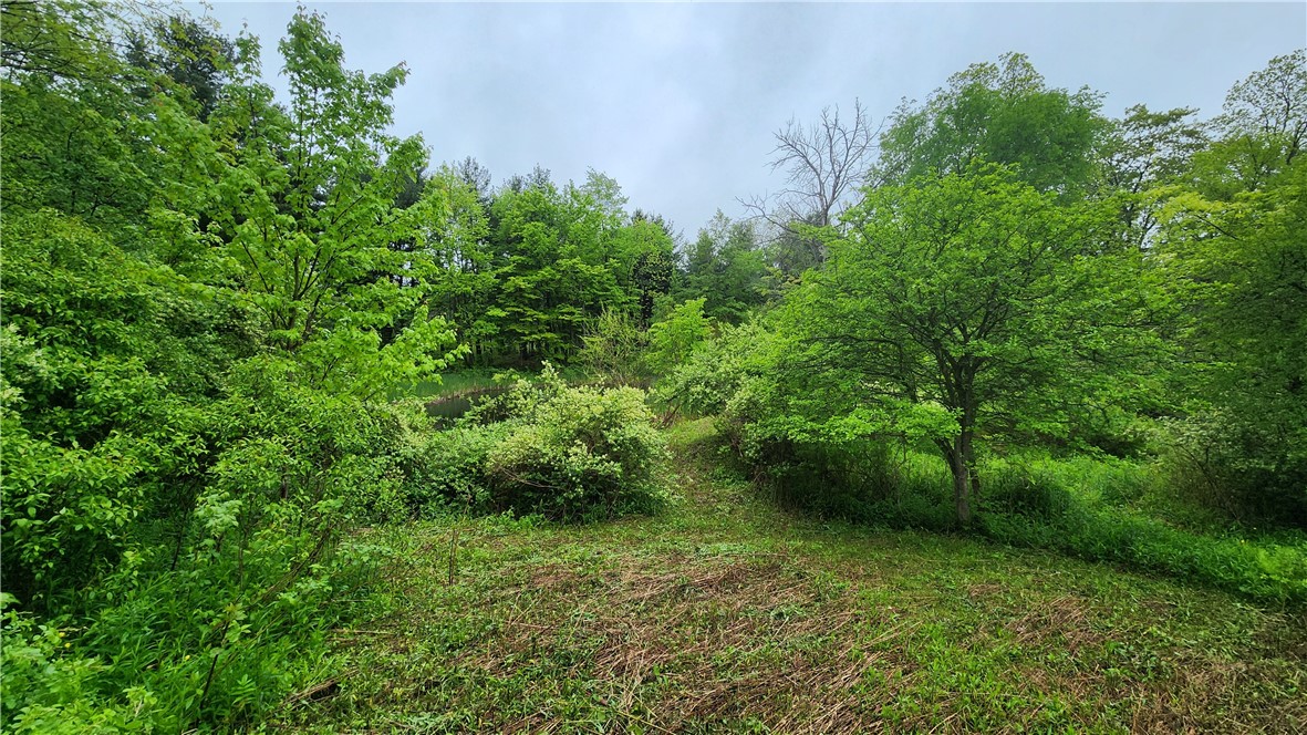 7978 Tuttle Road, Prattsburgh, New York image 12