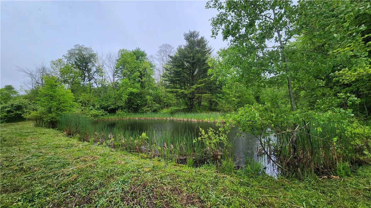 7978 Tuttle Road, Prattsburgh, New York image 14