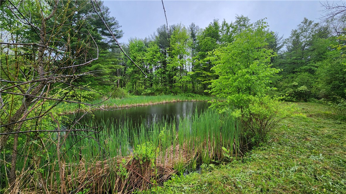 7978 Tuttle Road, Prattsburgh, New York image 13