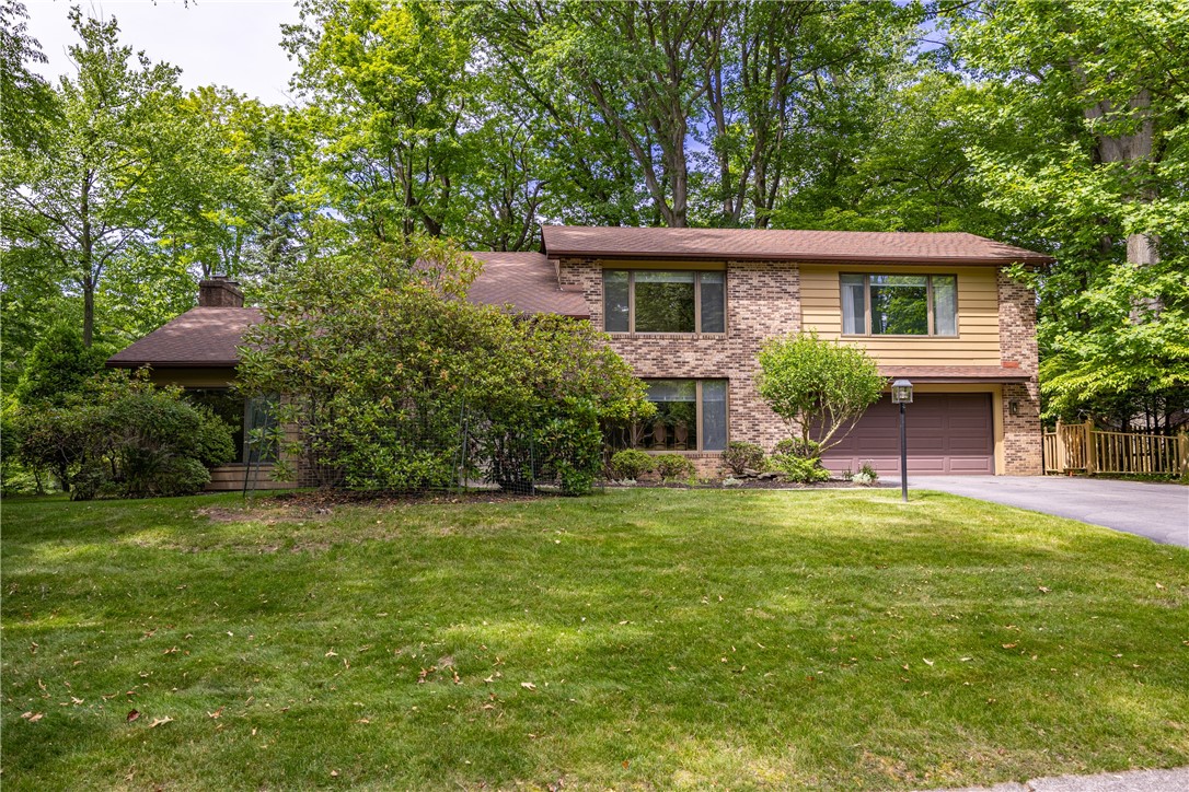 17 Tuliptree Lane