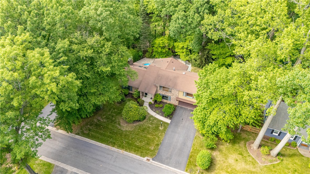 17 Tuliptree Lane