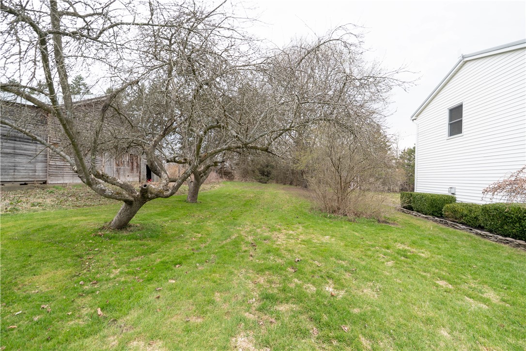 3820 Livonia Center Road, Livonia, New York image 39