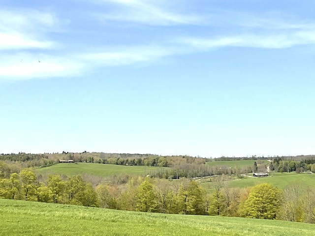 825 County Road 29, New Berlin, New York image 44