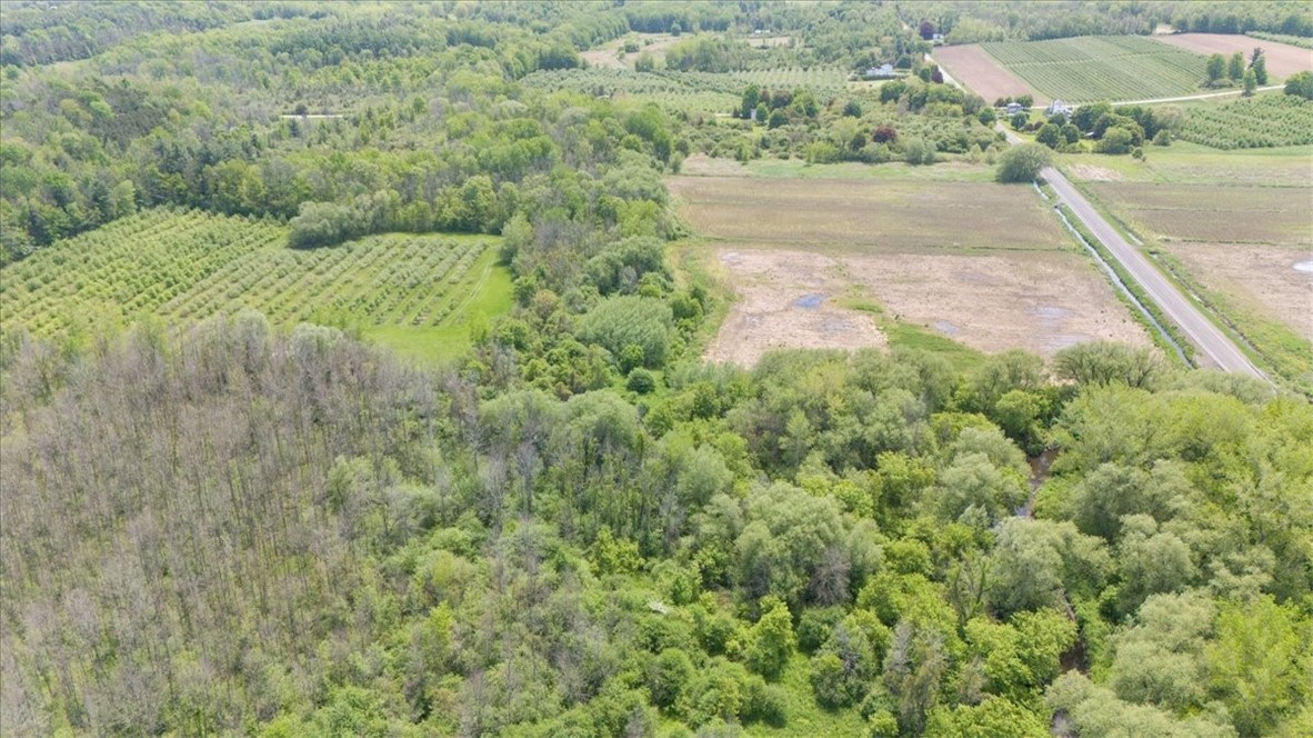 VL East S Centenary Rd, Sodus, New York image 4