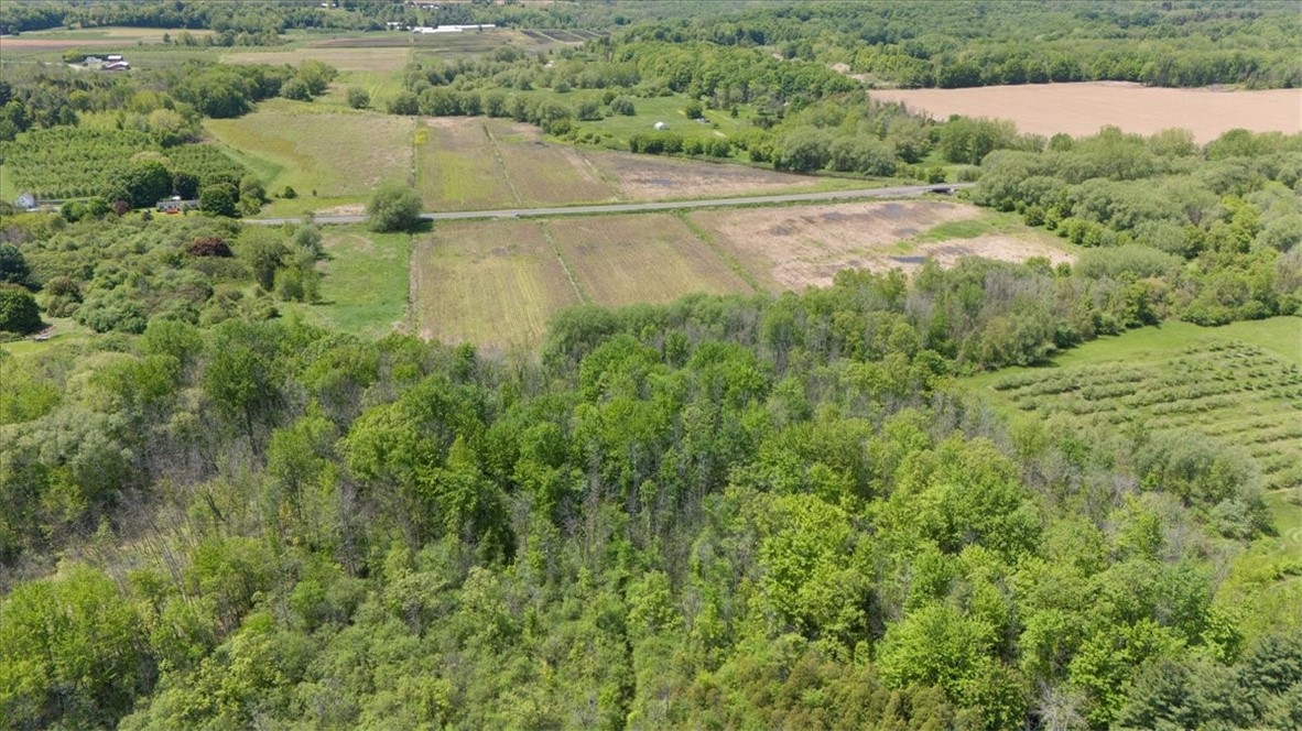 VL East S Centenary Rd, Sodus, New York image 16