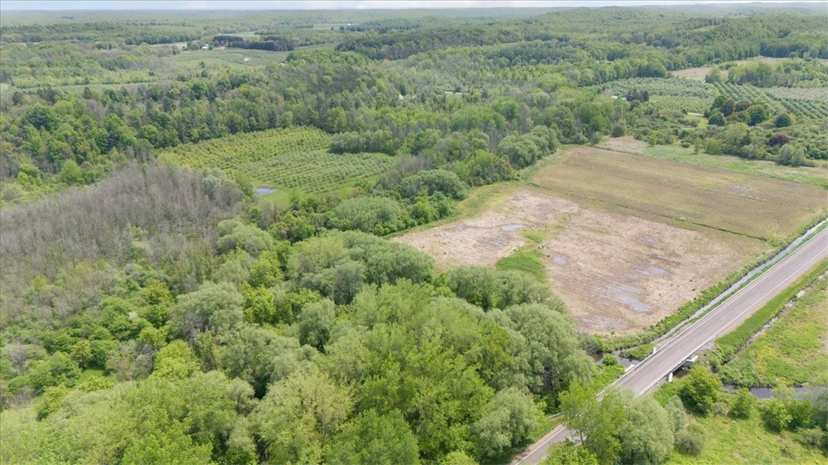 VL East S Centenary Rd, Sodus, New York image 6