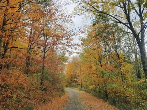 Photo for 00 Lost Lane
