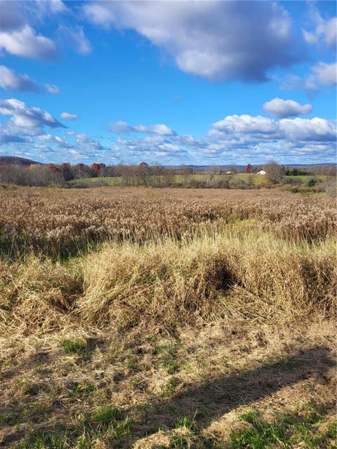 Photo for 239 Vargo Rd, Lot D