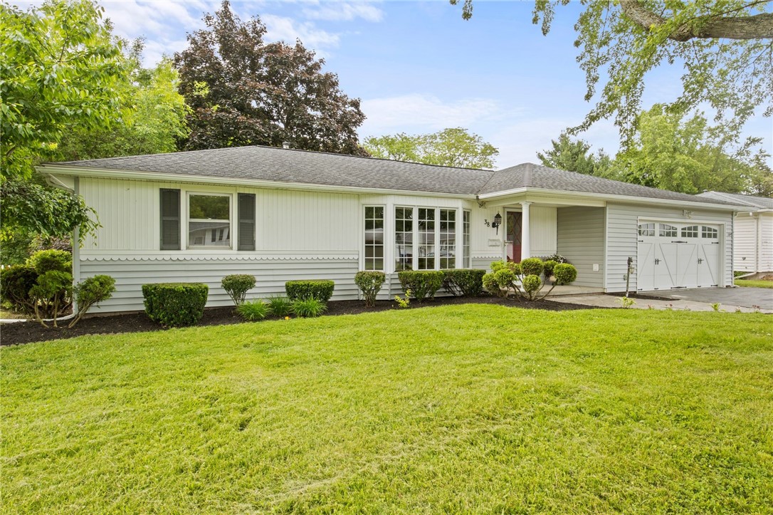 38 Moroa Drive