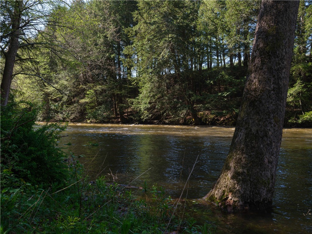 1181 County Highway 44, Sidney, New York image 25