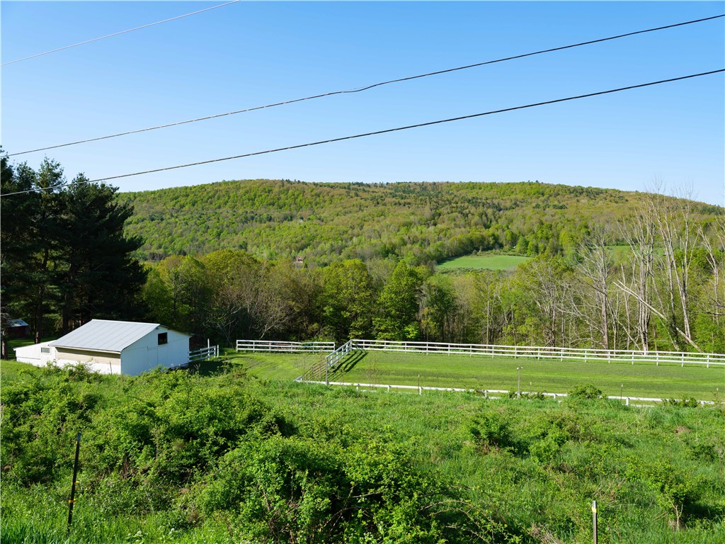 1181 County Highway 44, Sidney, New York image 7