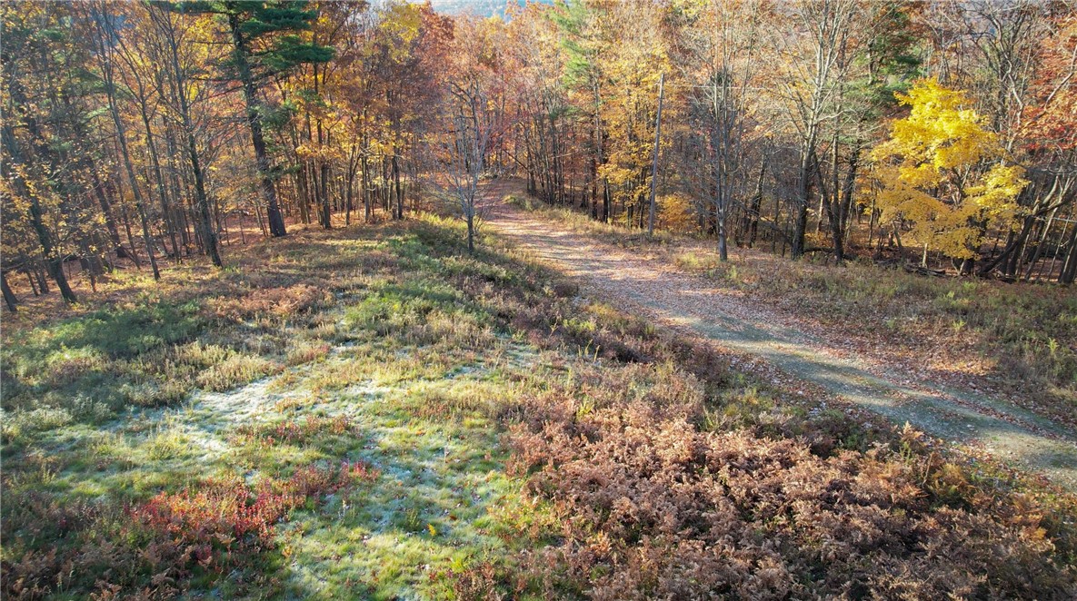 7667 Hickory Bottom Road, Naples, New York image 9