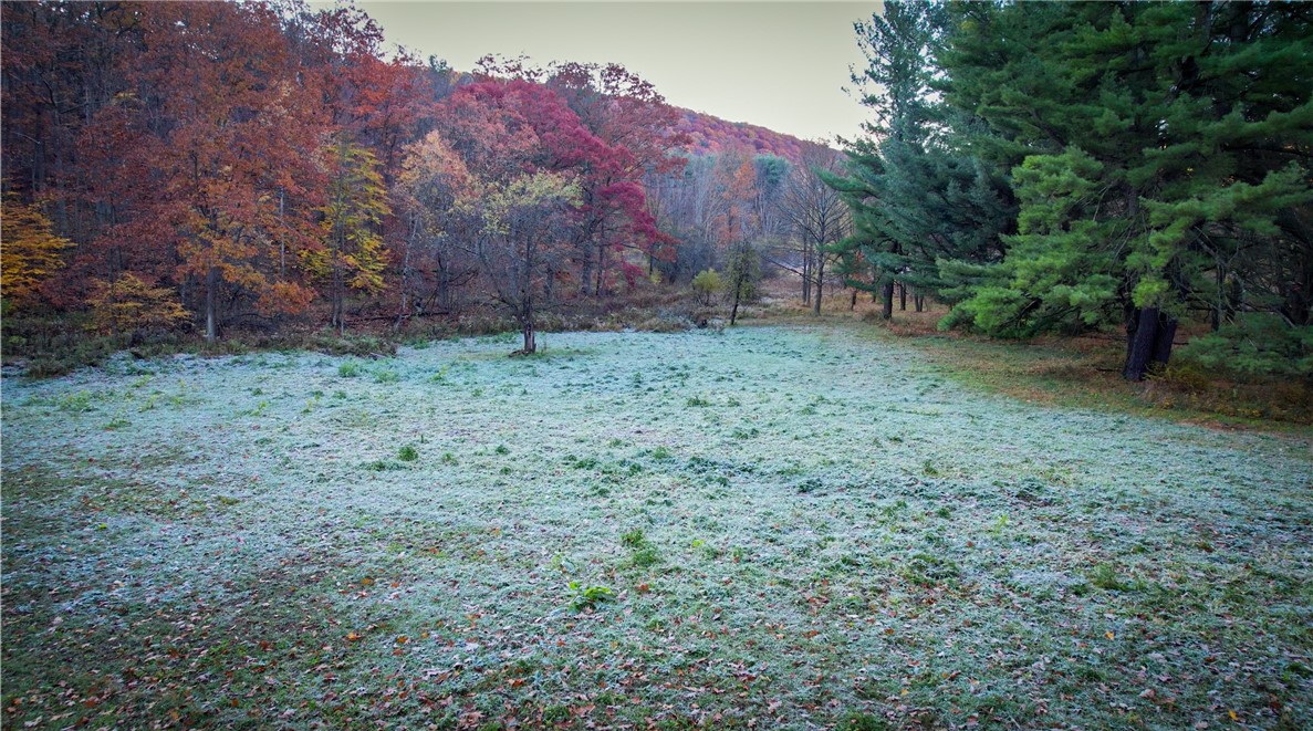 7667 Hickory Bottom Road, Naples, New York image 13