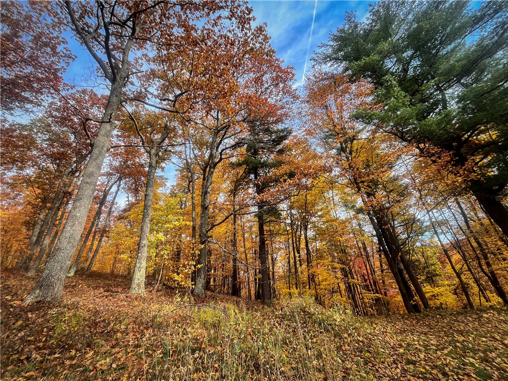 7667 Hickory Bottom Road, Naples, New York image 24