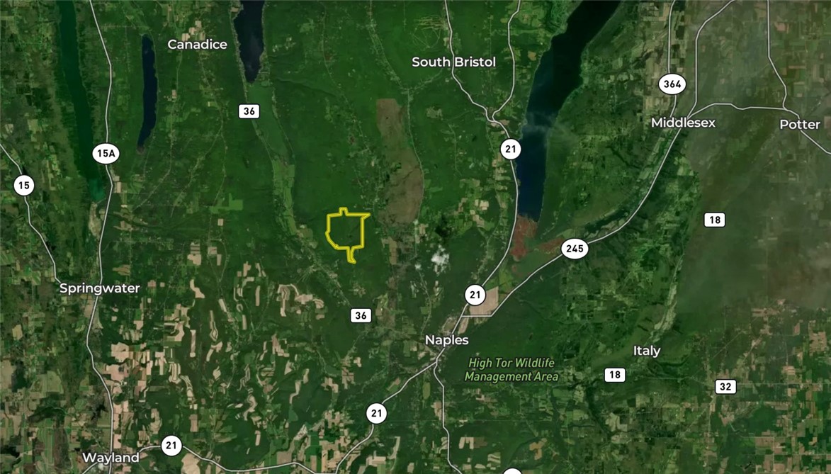 7667 Hickory Bottom Road, Naples, New York image 49