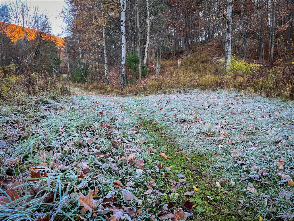 7667 Hickory Bottom Road, Naples, New York image 40