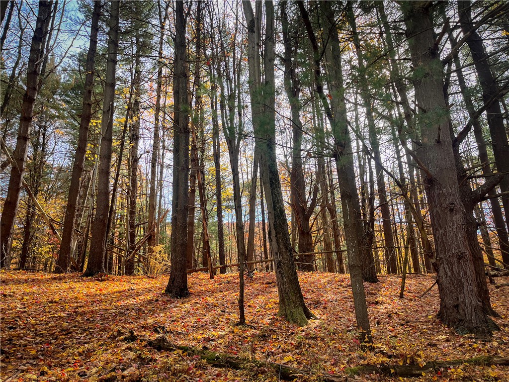 7667 Hickory Bottom Road, Naples, New York image 15