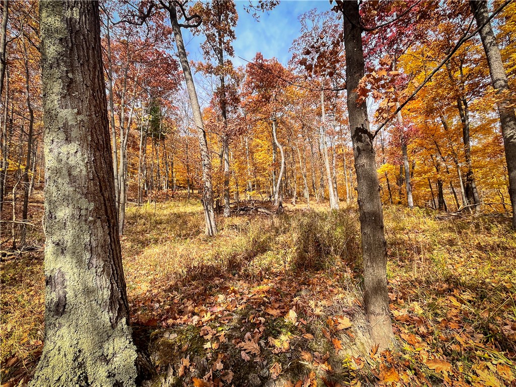7667 Hickory Bottom Road, Naples, New York image 19