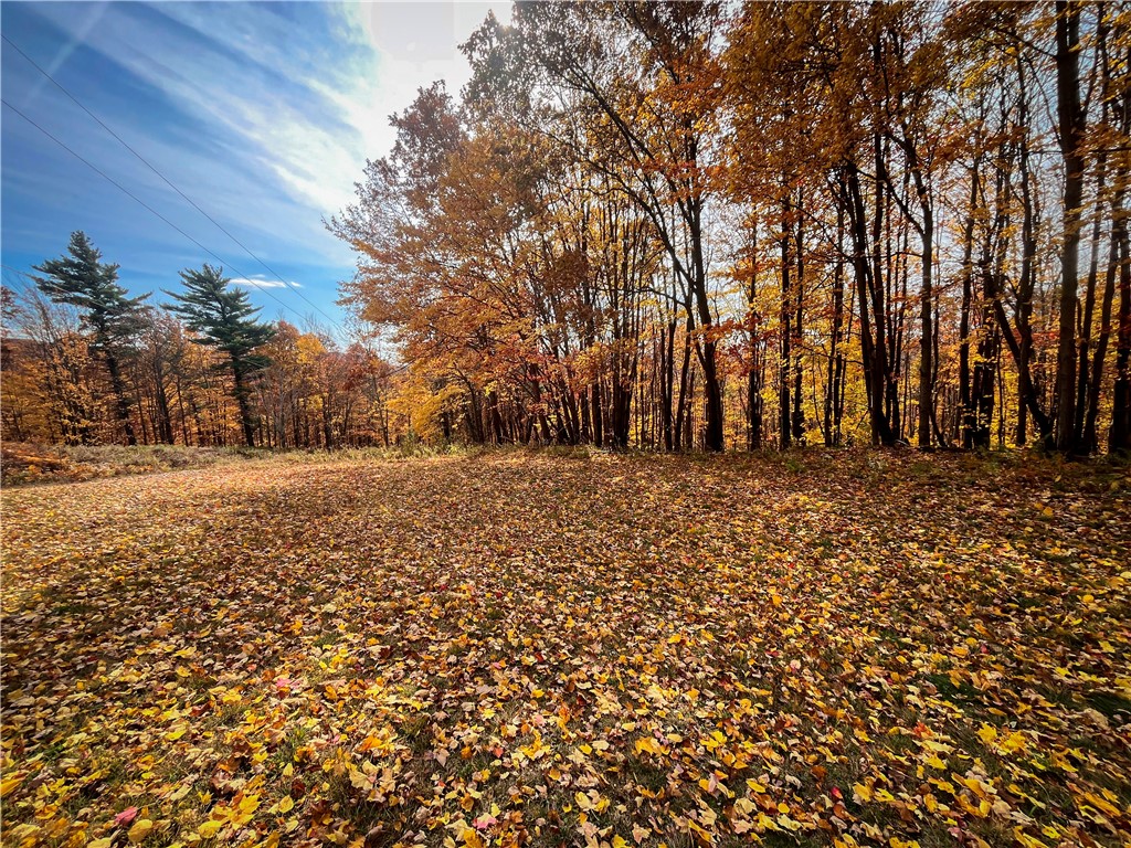 7667 Hickory Bottom Road, Naples, New York image 25