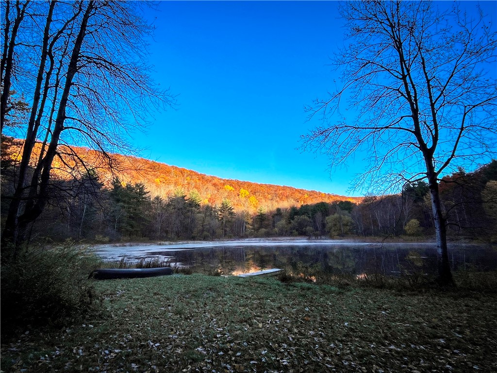 7667 Hickory Bottom Road, Naples, New York image 39