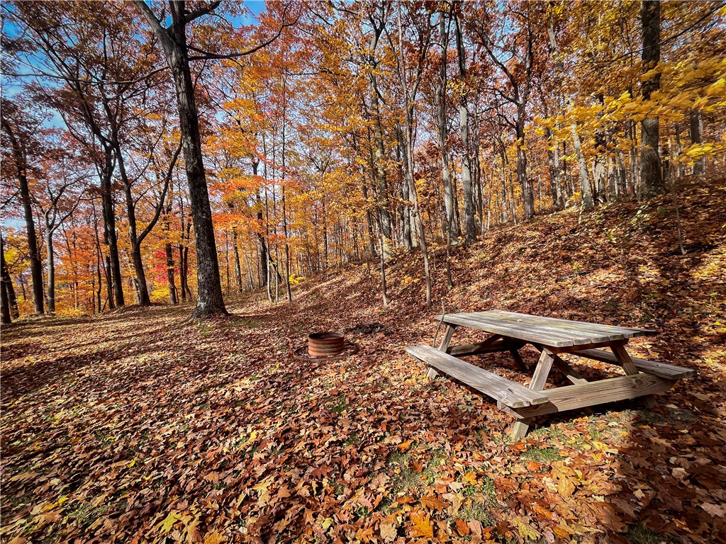 7667 Hickory Bottom Road, Naples, New York image 21