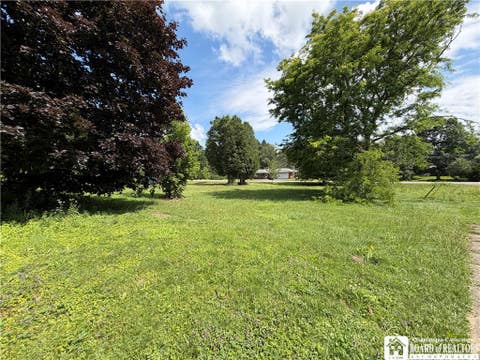 Vacant Land For Sale - Park Street<br/> Sherman, NY 14781