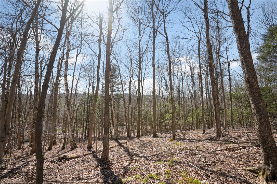 L11.6B Rossman Valley Road, Summit, New York image 6