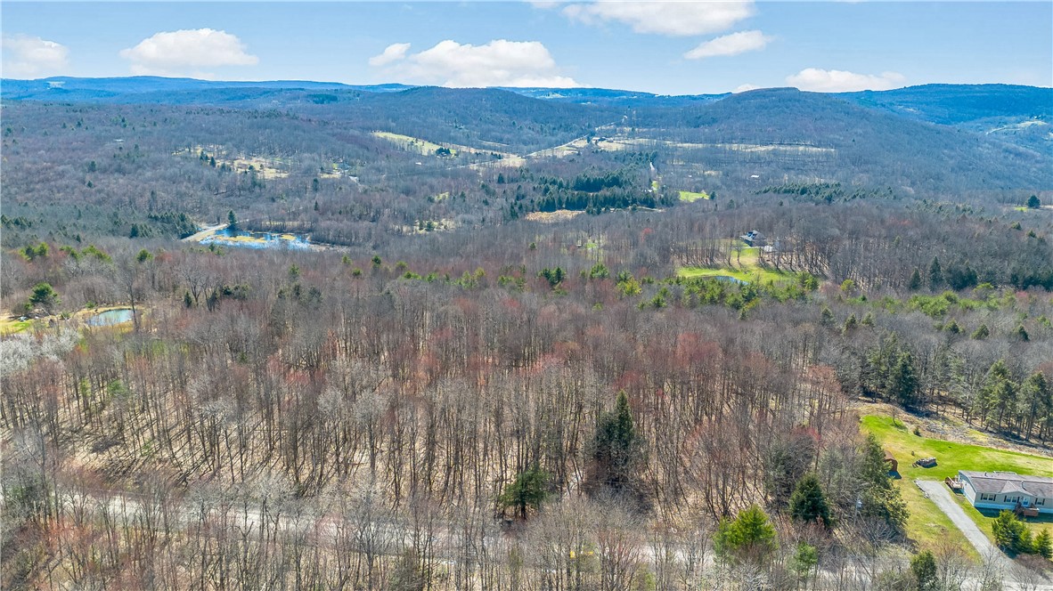 L11.6B Rossman Valley Road, Summit, New York image 2
