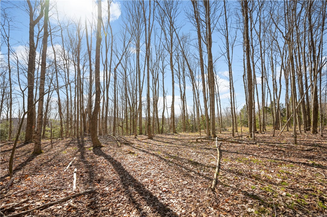 L11.6B Rossman Valley Road, Summit, New York image 15