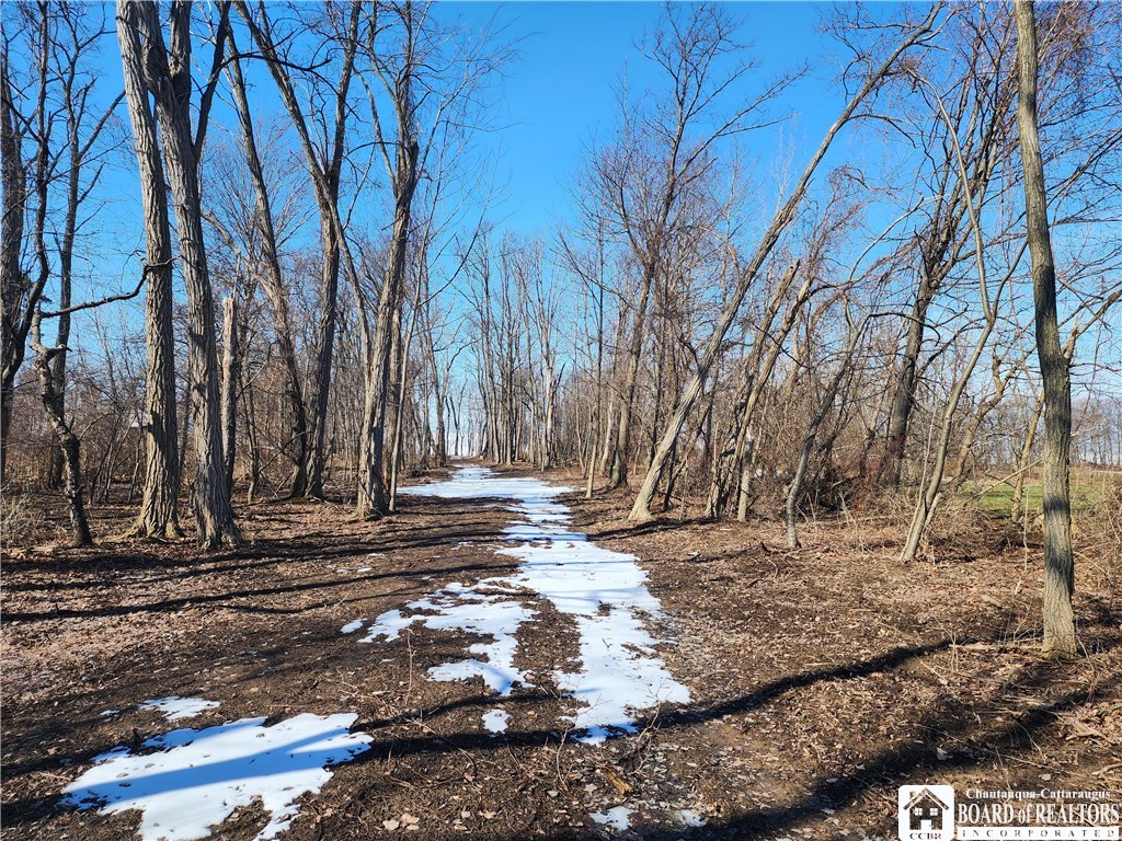 East Lake Road, Westfield, New York image 3