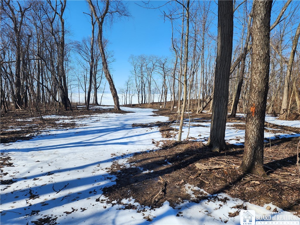 East Lake Road, Westfield, New York image 5