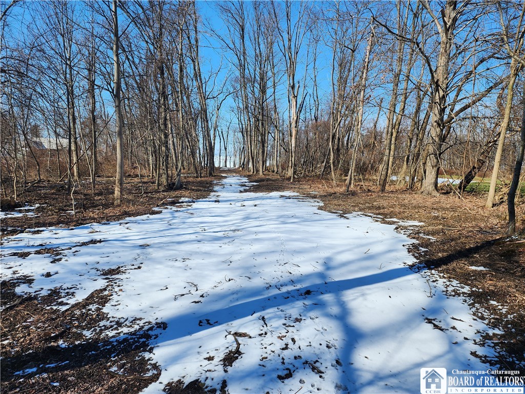 East Lake Road, Westfield, New York image 4